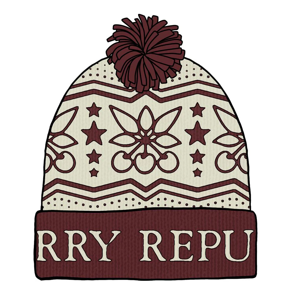 CR Winter Pom Beanie - Image 2
